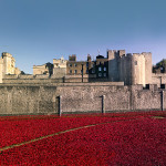 2014 Poppy sculpture Tower of London Uk