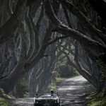 The Dark Hedges near Ballymoney N. Ireland