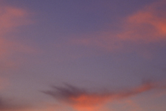 Berkshie Downs at dusk.